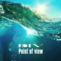 Ｐｏｉｎｔ　ｏｆ　ｖｉｅｗ