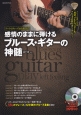 感情のままに弾けるブルース・ギターの神髄　DVD付