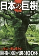 日本の巨樹