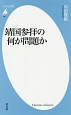 靖国参拝の何が問題か