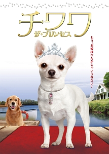 Mr ウィンクル 世界一かわいい犬の大冒険 映画の動画 Dvd Tsutaya ツタヤ