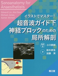 超音波ガイド下神経ブロックのための局所解剖