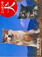 ニッポンの犬カレンダー　2015