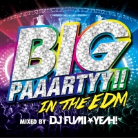 Big Paaartyy In The Edm Mixed By Dj Fumi Yeah オムニバスのcdレンタル 通販 Tsutaya ツタヤ