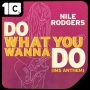 DO　WHAT　YOU　WANNA　DO　（IMS　ANTHEM）　REMIXIES