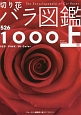 切り花　バラ図鑑1000（上）　レッド　ピンク　バイカラー