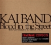 Blood　in　the　Street／甲斐バンド　40th　Anniversary　tour　in　日比谷野音