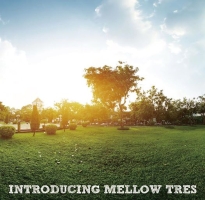 ＩＮＴＲＯＤＵＣＩＮＧ　ＭＥＬＬＯＷ　ＴＲＥＳ