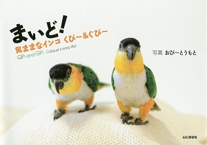 まいど！　気ままなインコ　くぴ～＆ぐぴ～