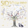 White　tree（A）