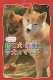 捨て犬・未来と子犬のマーチ　捨て犬・未来ものがたり