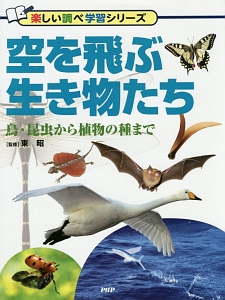 空を飛ぶ生き物たち 鳥・昆虫から植物の種まで
