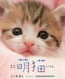 萌猫－もえにゃん－