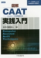 図解・CAAT－コンピュータ利用監査技法－実践入門