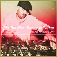 Ｍｉｘ　Ｔｈｅ　Ｖｉｂｅ　－Ｄｅｅｅｐ　Ｄｅｔｒｏｉｔ　Ｈｅａｔ－