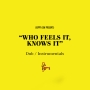 Who　Feels　It，　Knows　It　Dub／Instrumentals