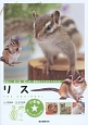 リス　小動物★飼い方上手になれる！