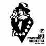 LOVE　PSYCHEDELIC　ORCESTRA