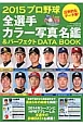 プロ野球全選手カラー写真名鑑＆パーフェクトDATA　BOOK　2015