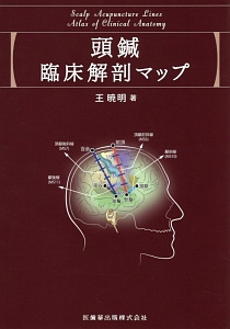 頭鍼臨床解剖マップ