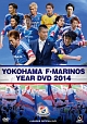 横浜F・マリノス　イヤー　2014