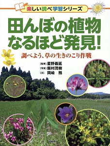 田んぼの植物なるほど発見!