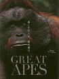 GREAT　APES