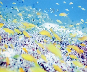 彩りの海