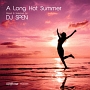 A　Long　Hot　Summer　－Mixed　and　Selected　by　DJ　Spen－