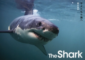 The Shark サメたちの海へ