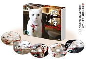 猫侍　SEASON2　DVD－BOX