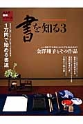 書を知る　金澤翔子とその作品　人々を魅了する書はいかにして生まれたのか？