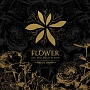VOL．3：FLOWER　SPECIAL　EDITION　CD＋DVD(DVD付)