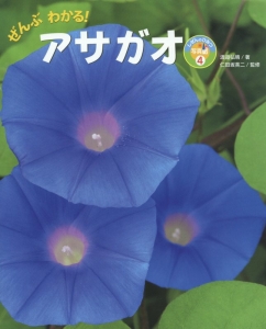 ぜんぶわかる!アサガオ しぜんのひみつ写真館4