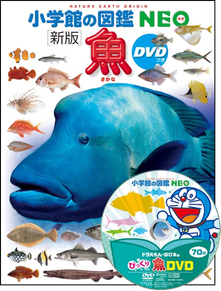 小学館の図鑑NEO<新版> 魚 DVDつき