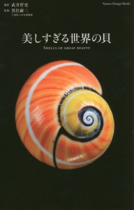 美しすぎる世界の貝