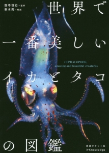 世界で一番美しいイカとタコの図鑑<愛蔵ポケット版>