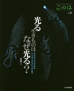 このは　光る生きものはなぜ光る？　ホタル・クラゲからミミズ・クモヒトデまで