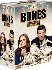 BONES　－骨は語る－　シーズン10　DVDコレクターズBOX