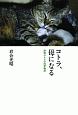 コトラ、母になる　津軽のネコの四季物語