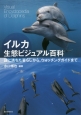 イルカ生態ビジュアル百科