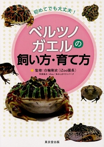 ベルツノガエルの飼い方・育て方