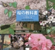 桜の教科書