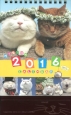 かご猫シロと季節の花々カレンダー　2016