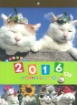 かご猫シロの季節の彩り暦カレンダー　2016