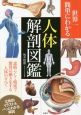 世界一簡単にわかる　人体解剖図鑑