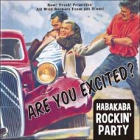 ＡＲＥ　ＹＯＵ　ＥＸＣＩＴＥＤ？　～ＨＡＢＡＫＡＢＡ　ＲＯＣＫＩＮ’　ＰＡＲＴＹ～