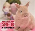 ミニカレンダー　ウサギ　2016
