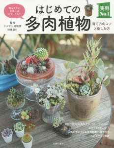 はじめての多肉植物 育て方のコツと楽しみ方