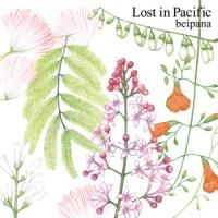 Ｌｏｓｔ　ｉｎ　Ｐａｃｉｆｉｃ